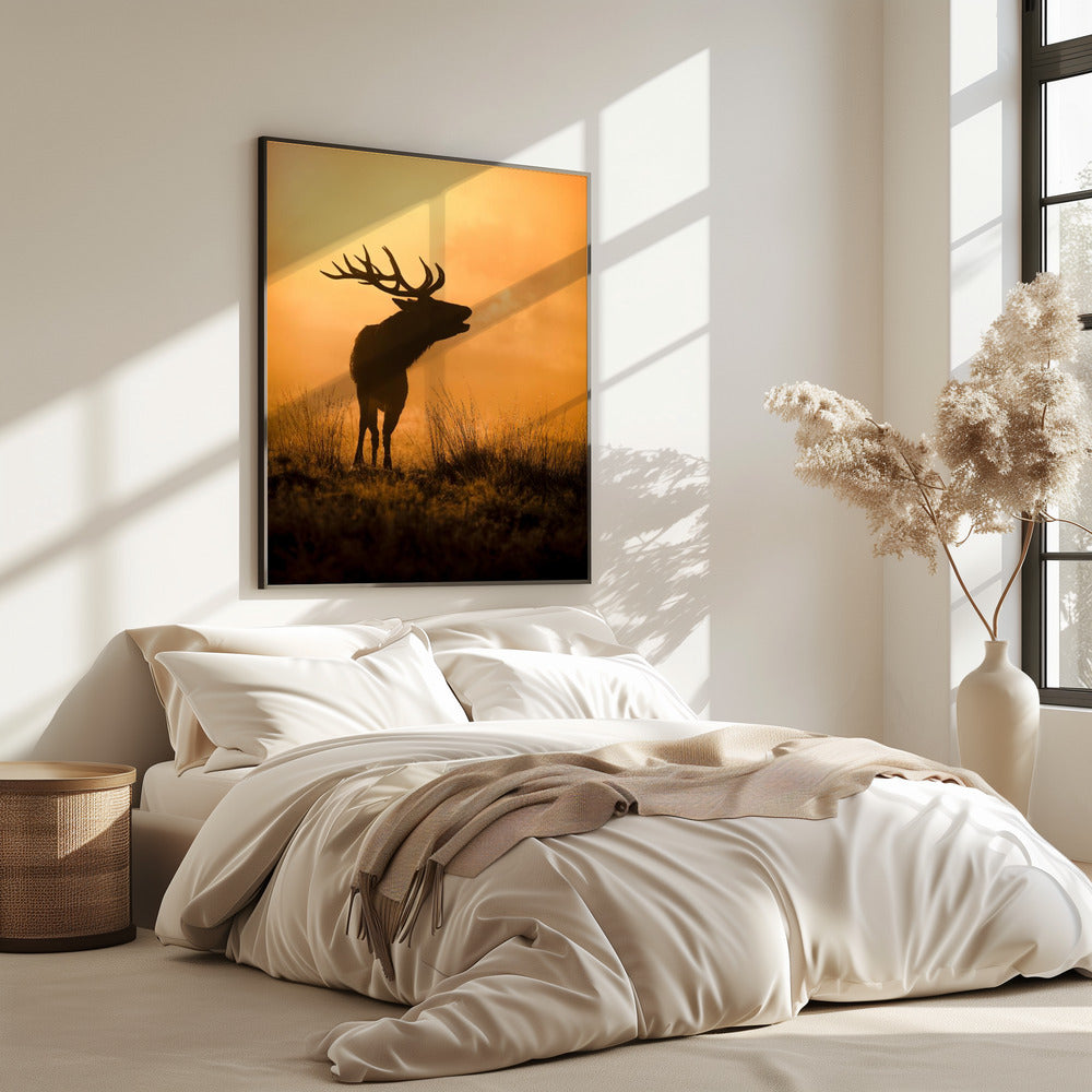 Morgenruf | Poster