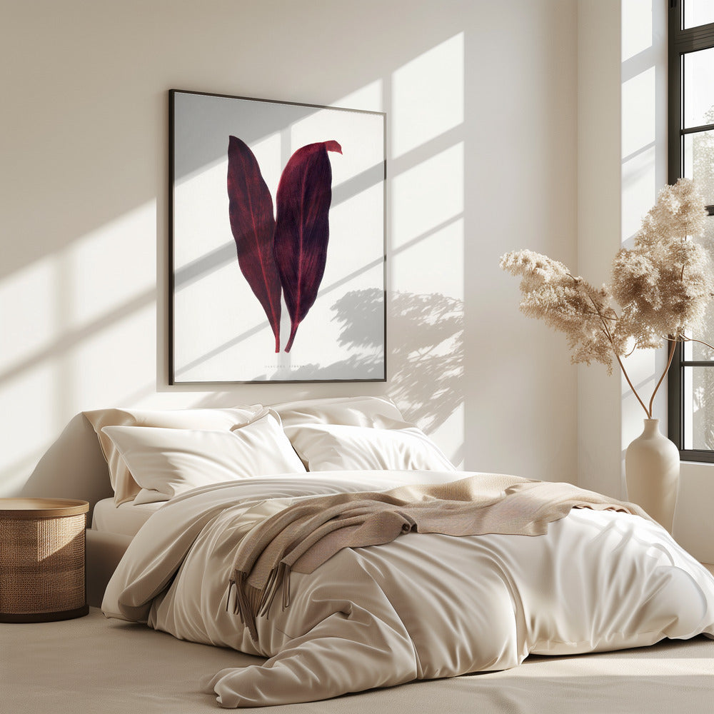 Rosa Dracaena Ferrea Blatt Illustration | Poster