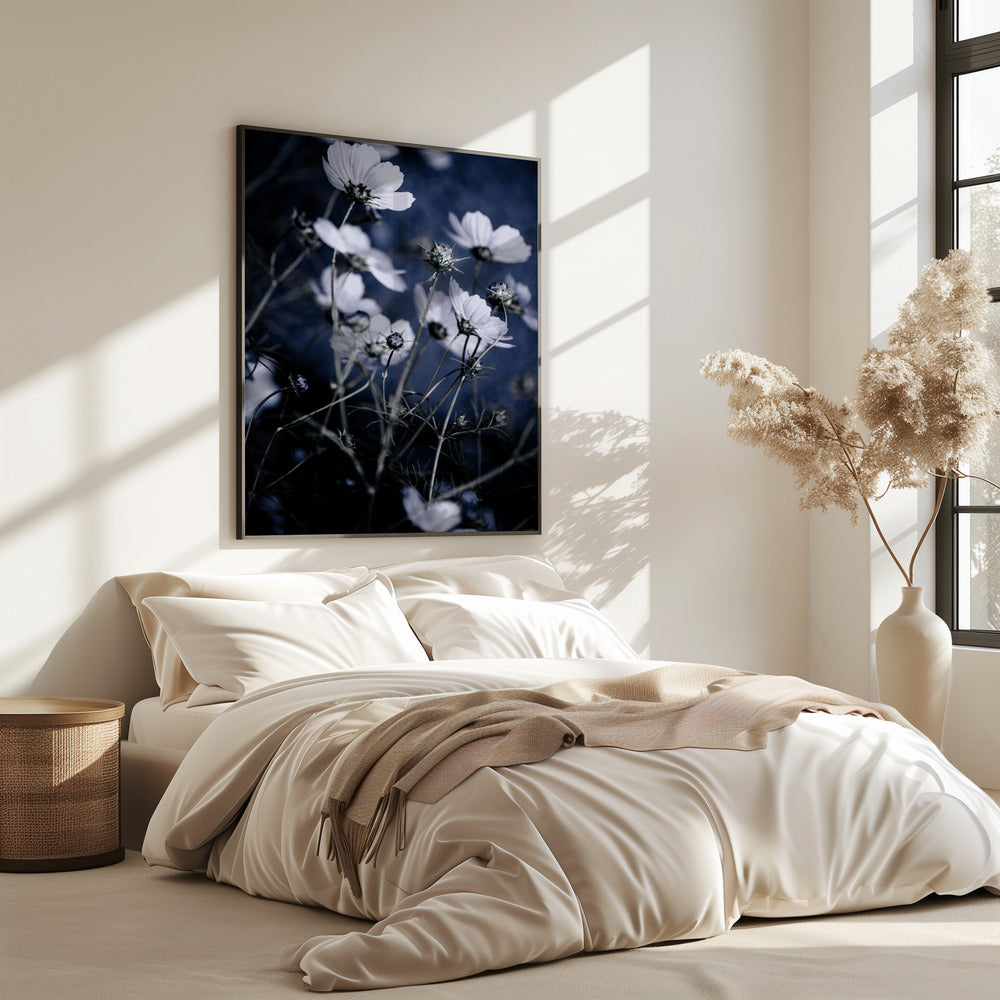 Wildblumen 10 | Poster