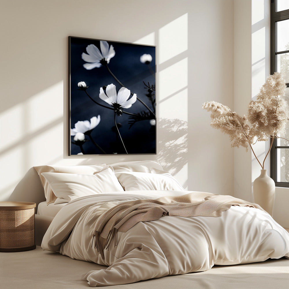 Wildblumen 1 | Poster