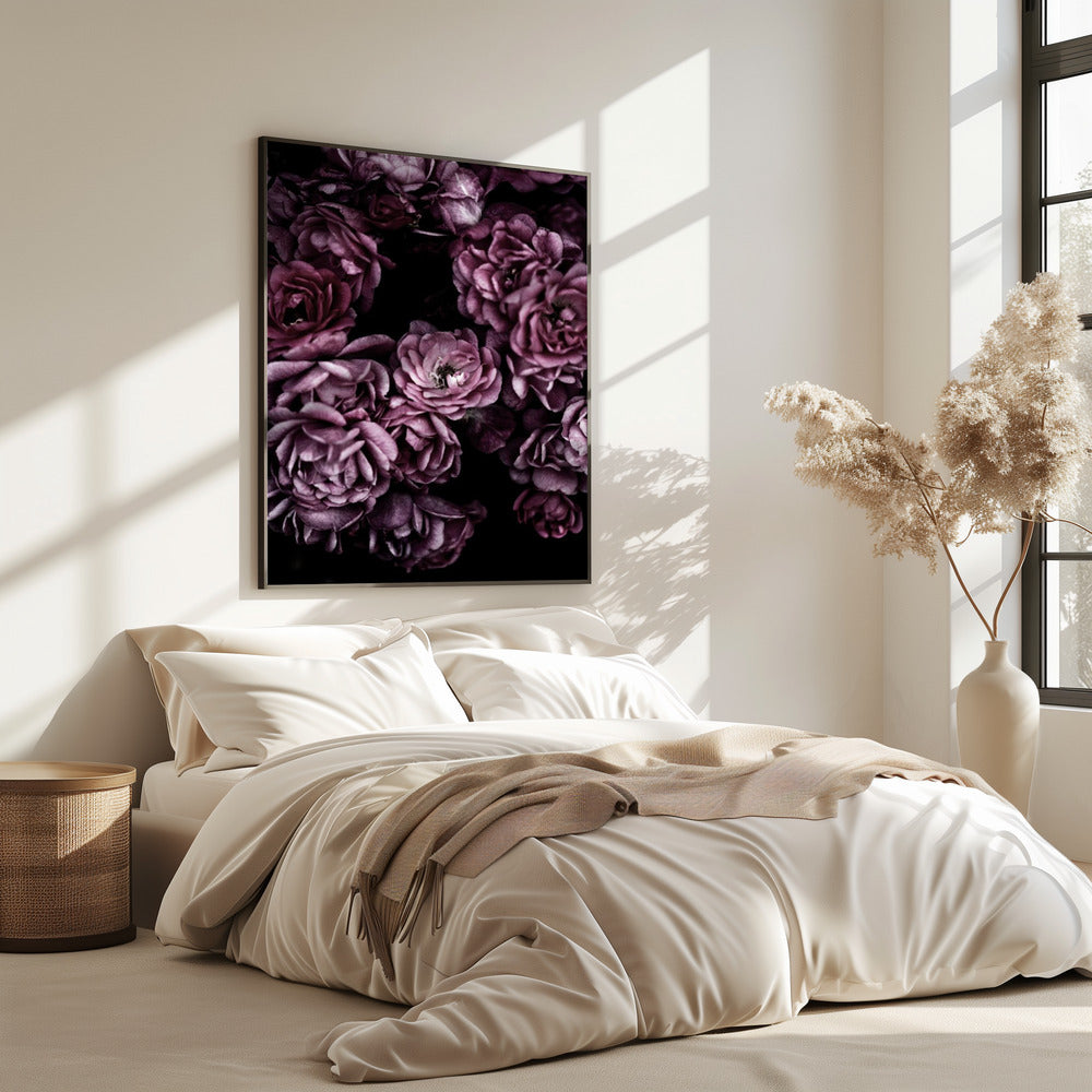 Wilde Rosen | Poster
