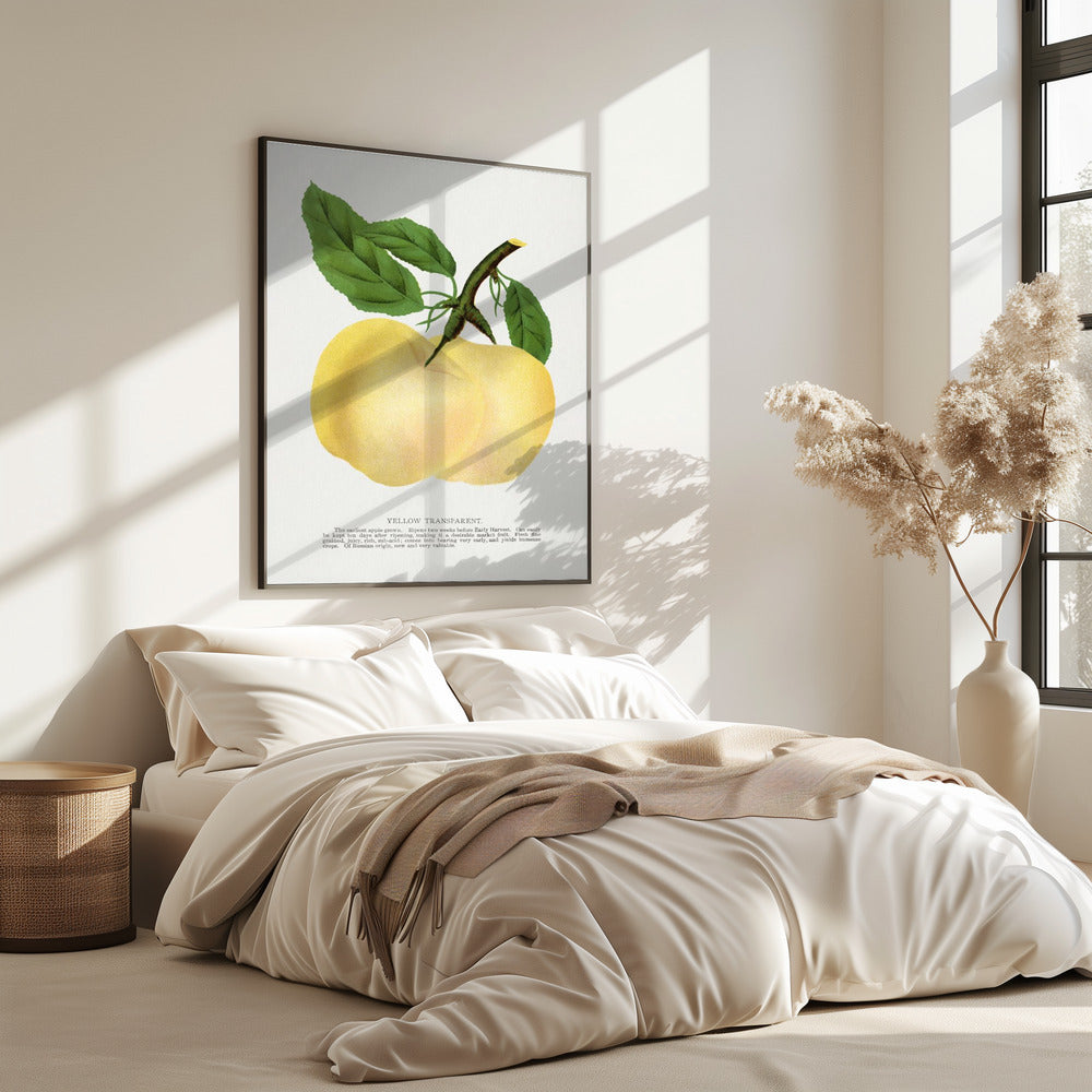 Gelbe transparente Apfel-Lithografie | Poster