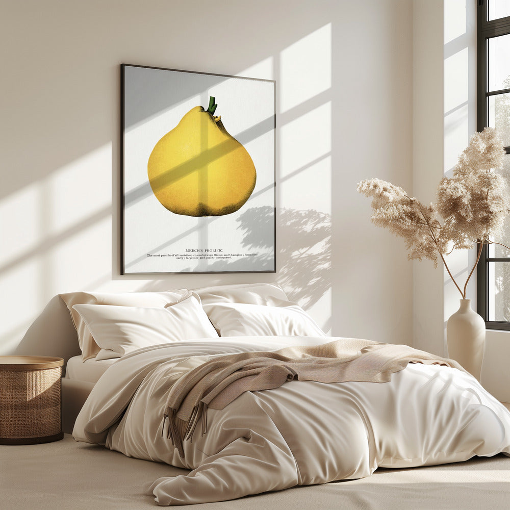 Meechs produktive Birnen-Lithografie | Poster