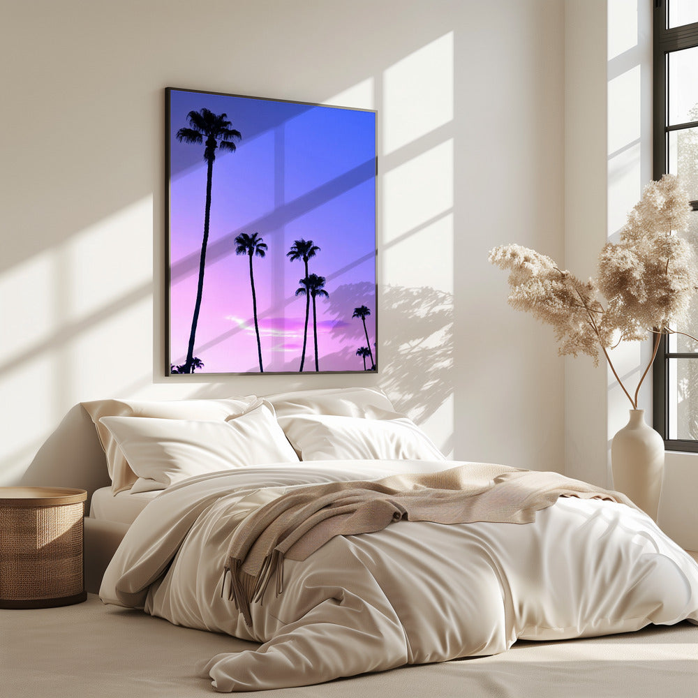 Palmen-Sonnenuntergang | Poster