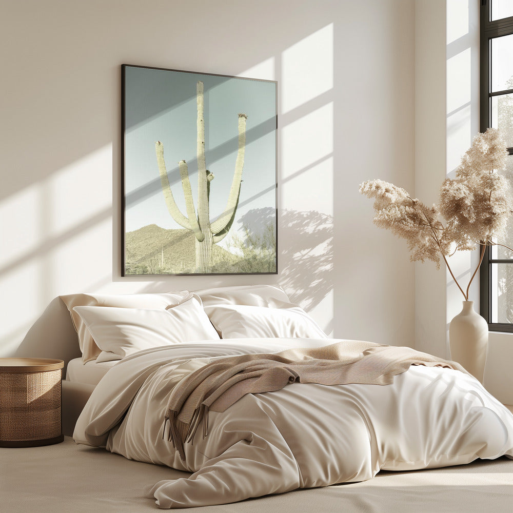 Saguaro Nationalpark Poster