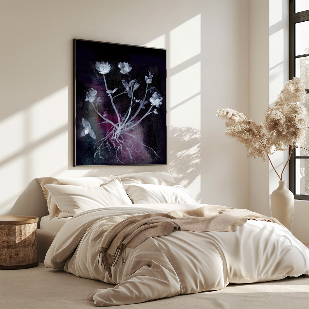 Secret Garden Ii | Poster