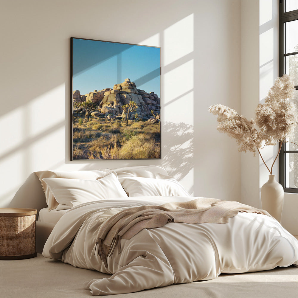 Joshua Tree Sunset | Poster