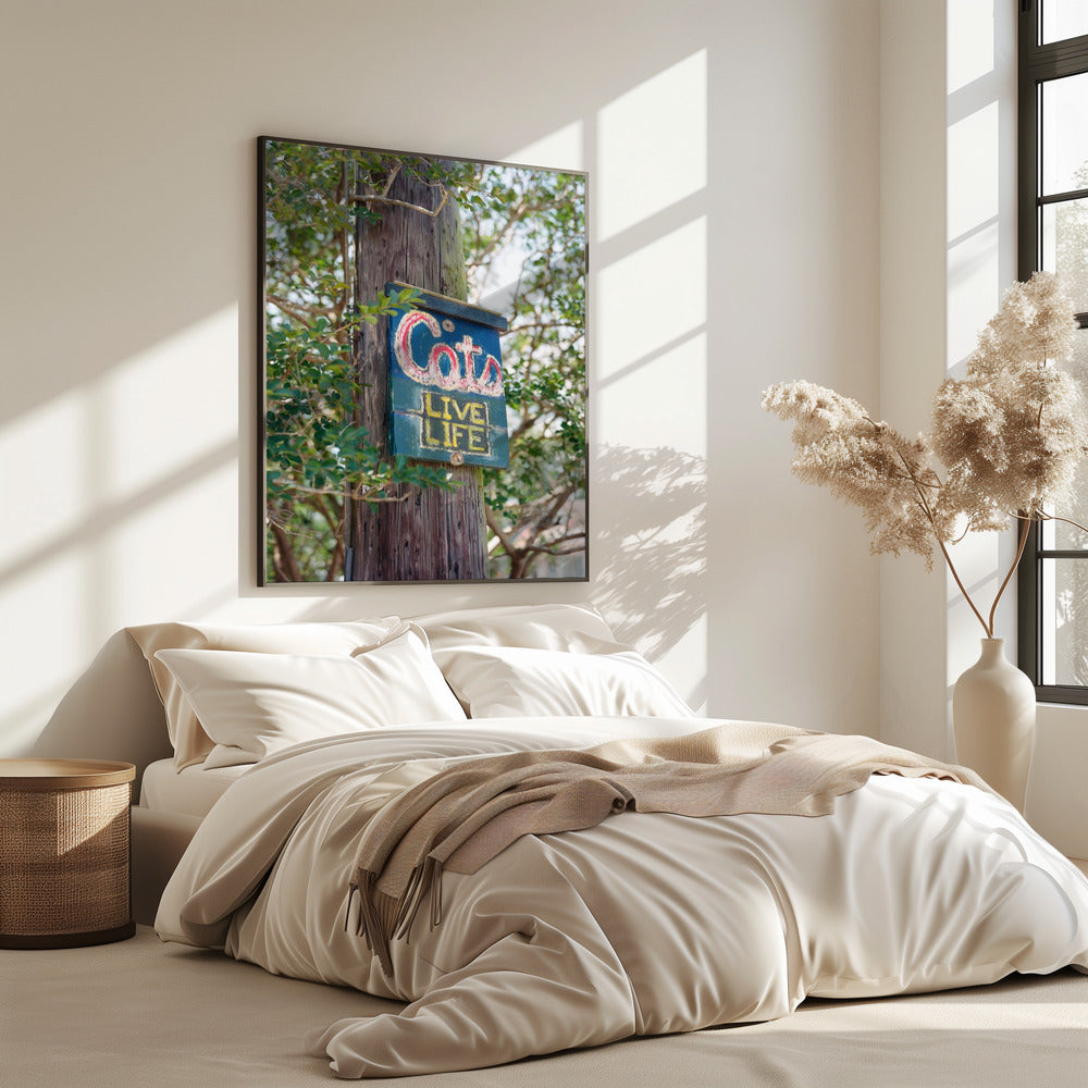 New Orleans Katzen | Poster