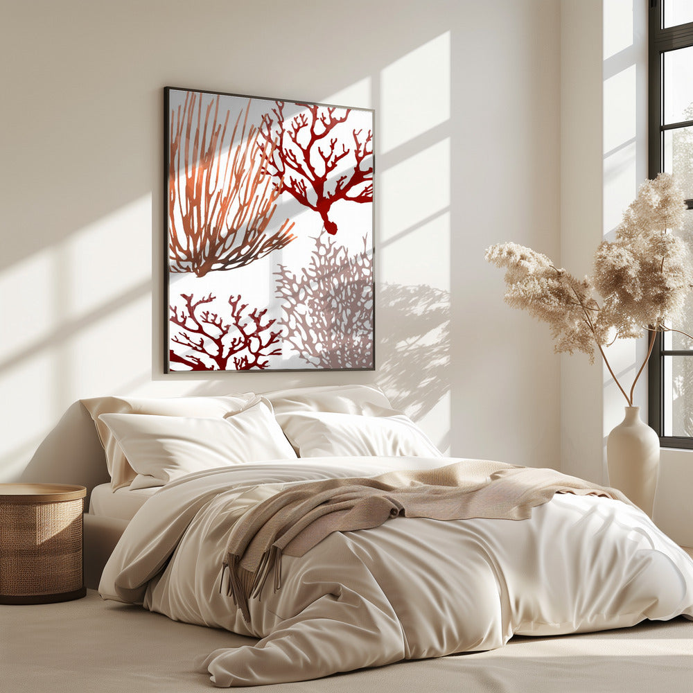 Rosa und rote Meereskoralle | Poster