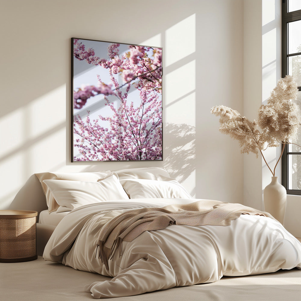 Bunter Frühling 11 | Poster