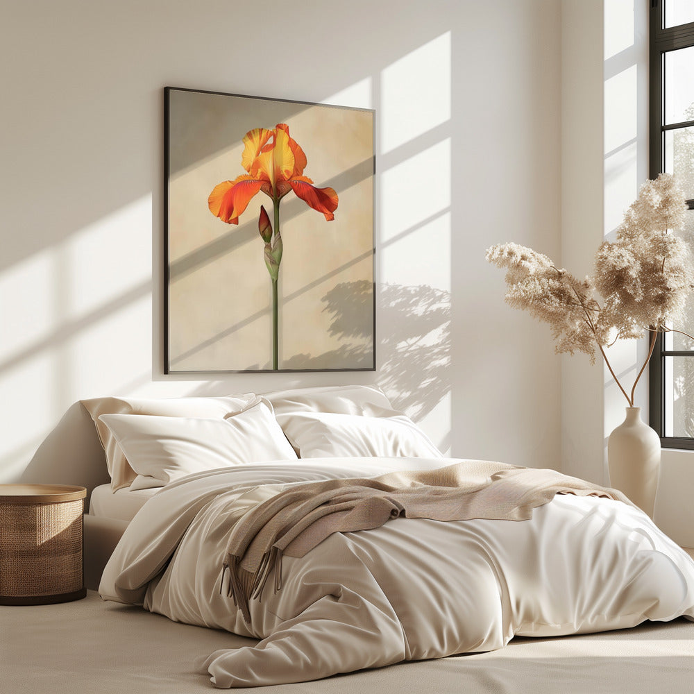 Poster Leinwand Sng Iris 34 | Poster