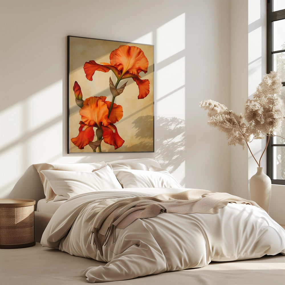 Poster Leinwand Sng Iris 36 | Poster