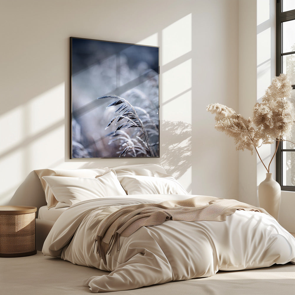 Frostiger Morgen 5 | Poster