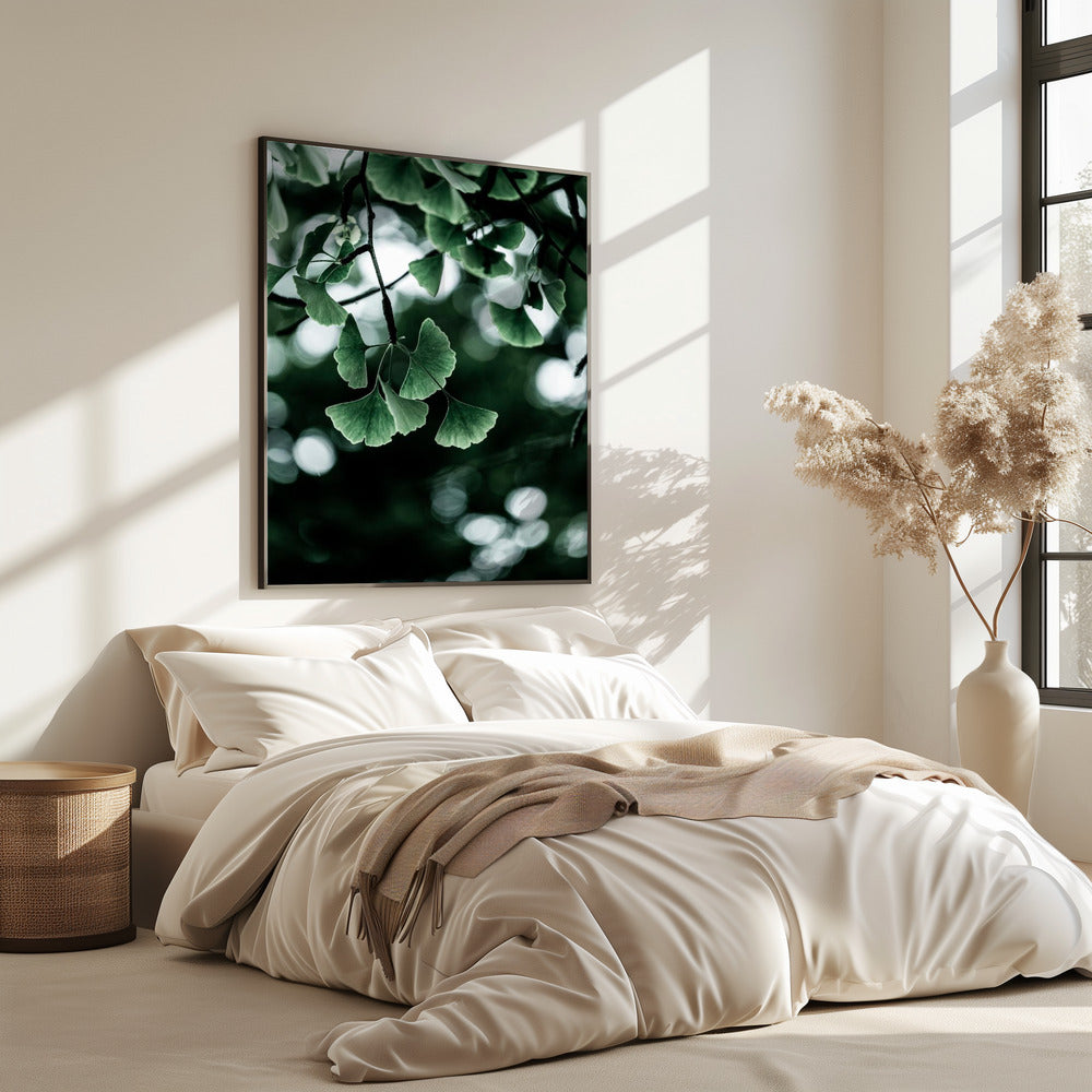 Ginko 1 | Poster