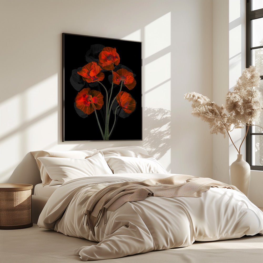 Eisiger roter Mohn | Poster