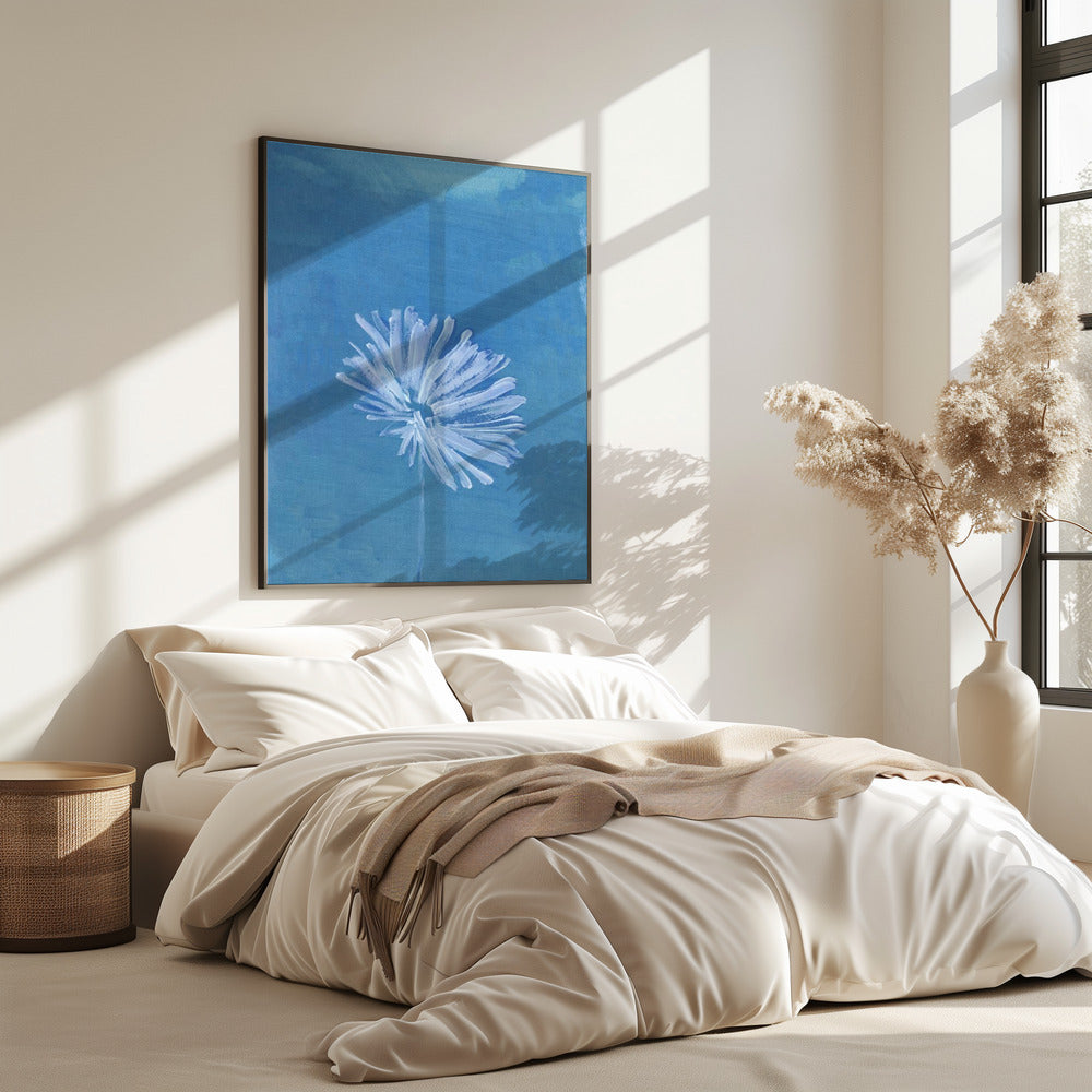 Weiße Blume auf blauem Hintergrund | Poster