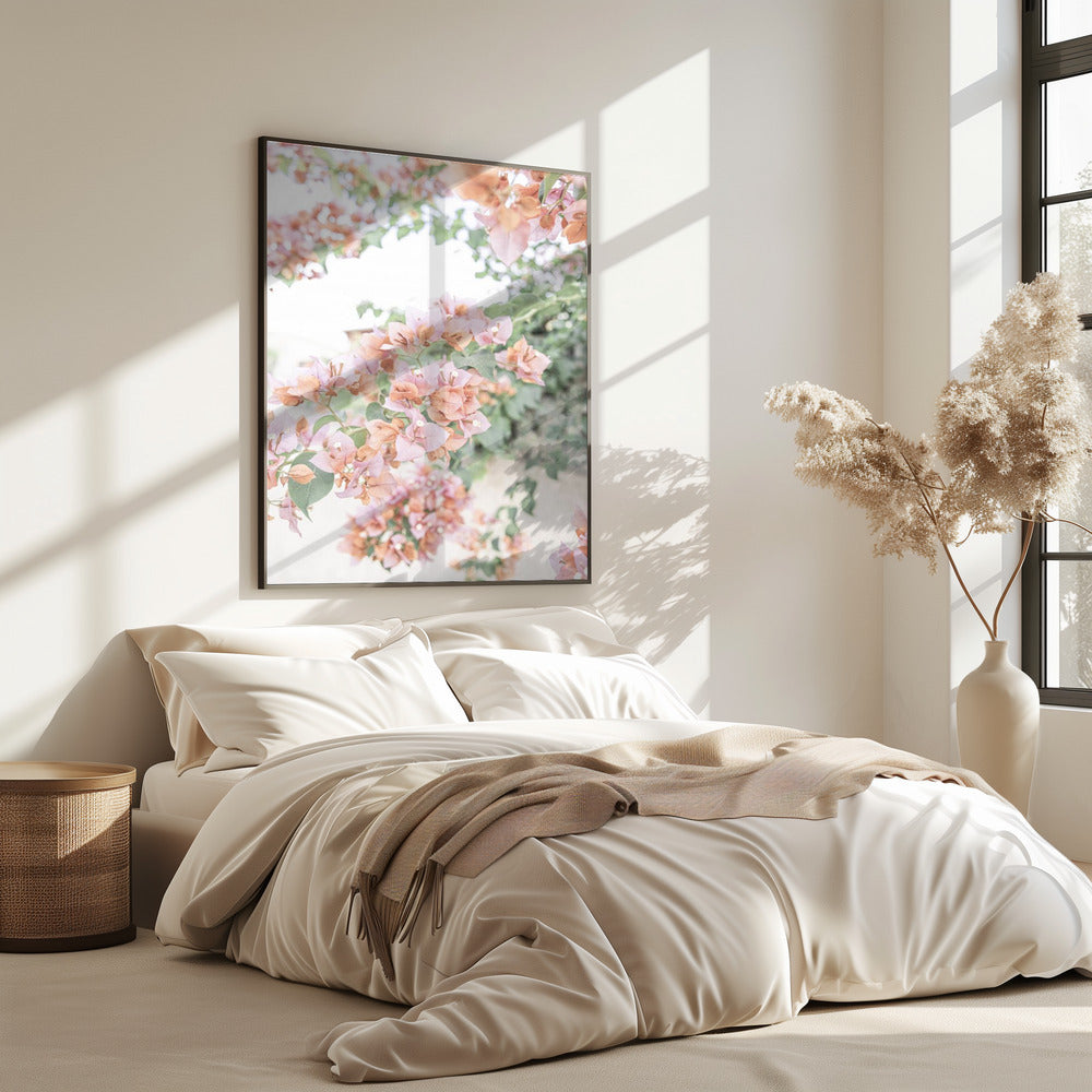 Pfirsich-Bougainvillea | Poster