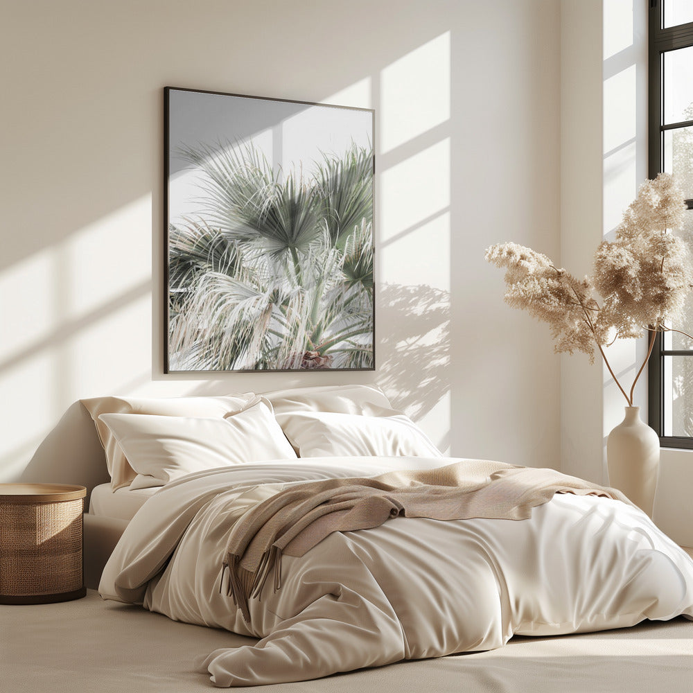 Palm Leaf | Poster
