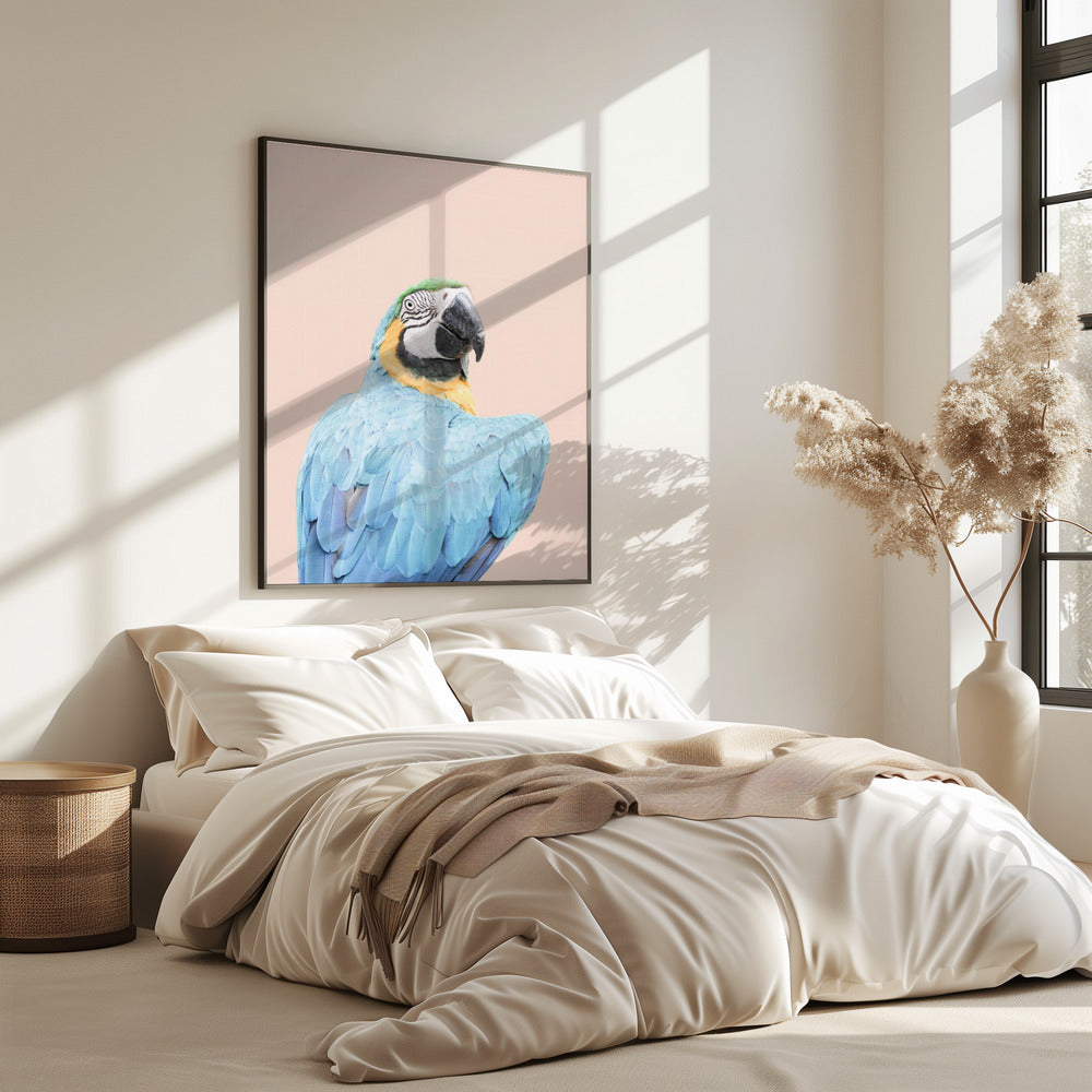 Blauer Ara | Poster