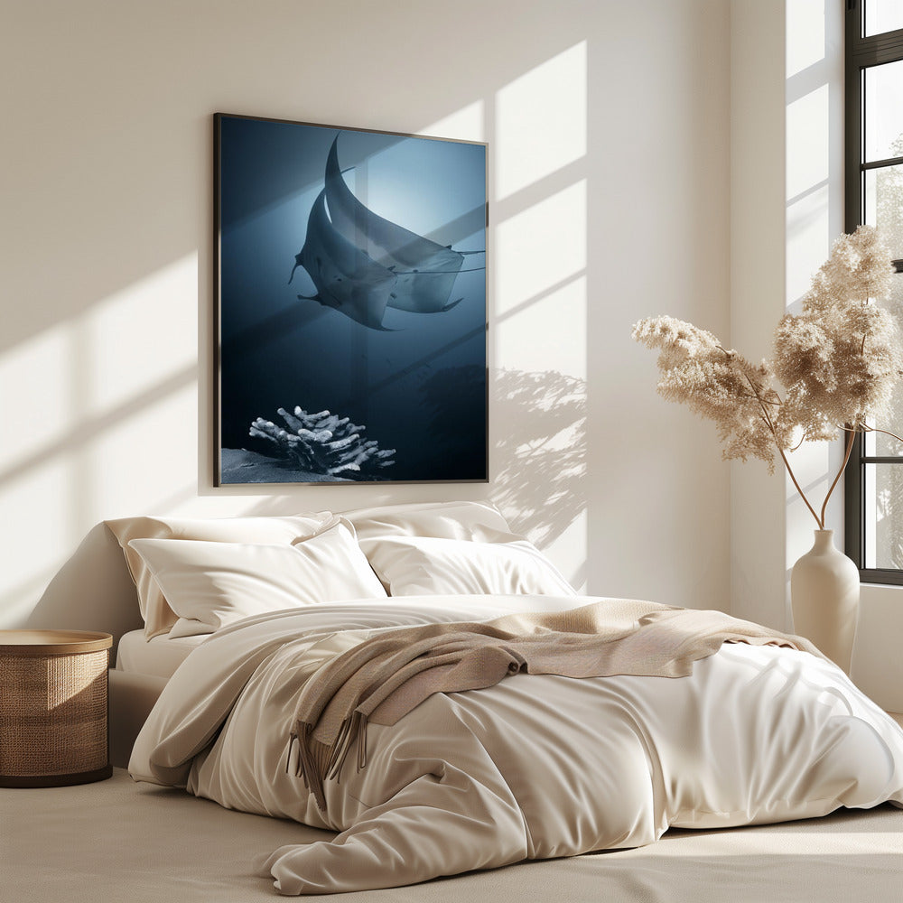 Sonate | Poster