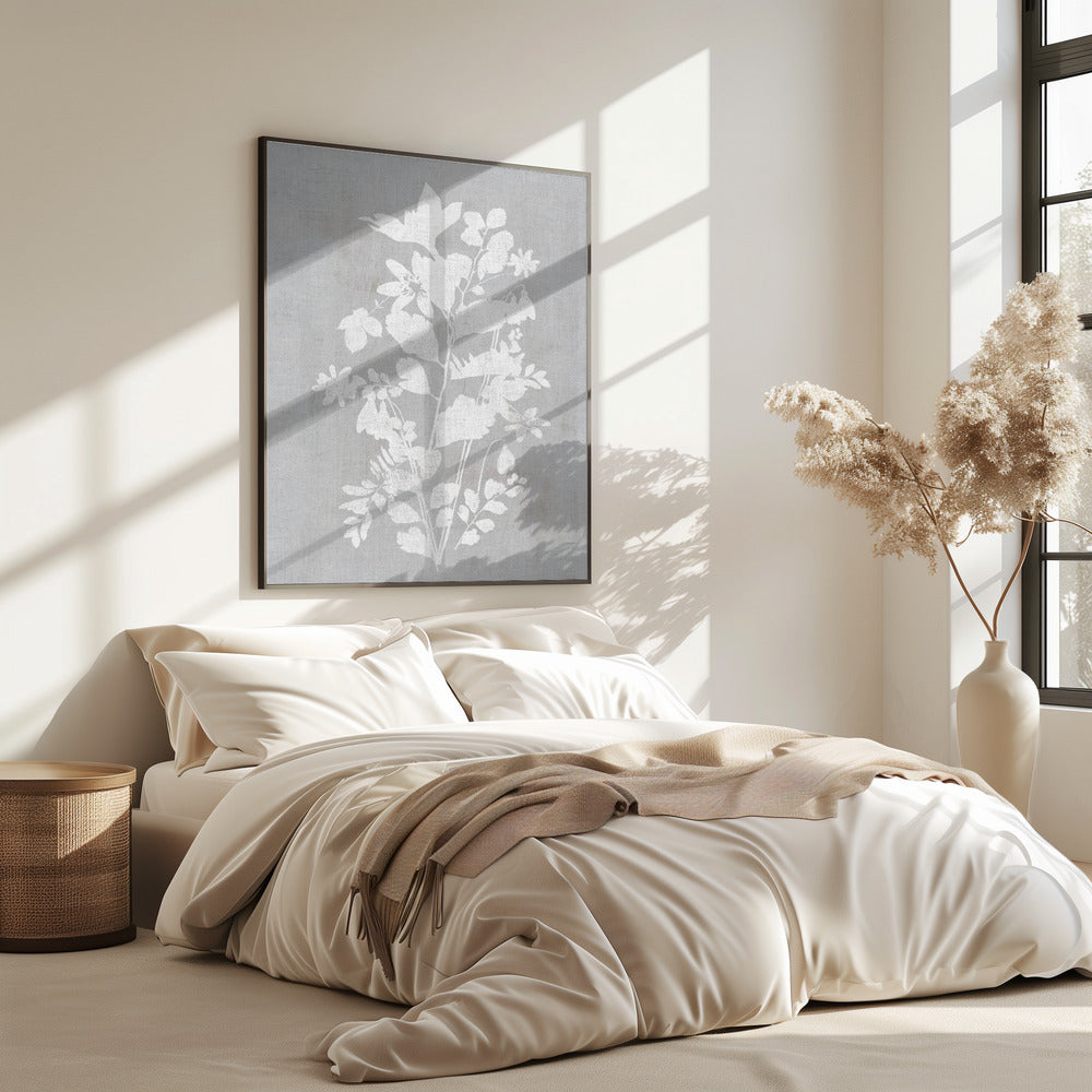 Botanische Illustration 2 | Poster