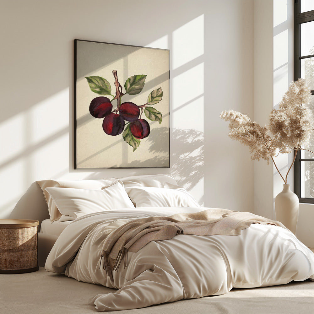 Vintage-Obstsammlung | Poster