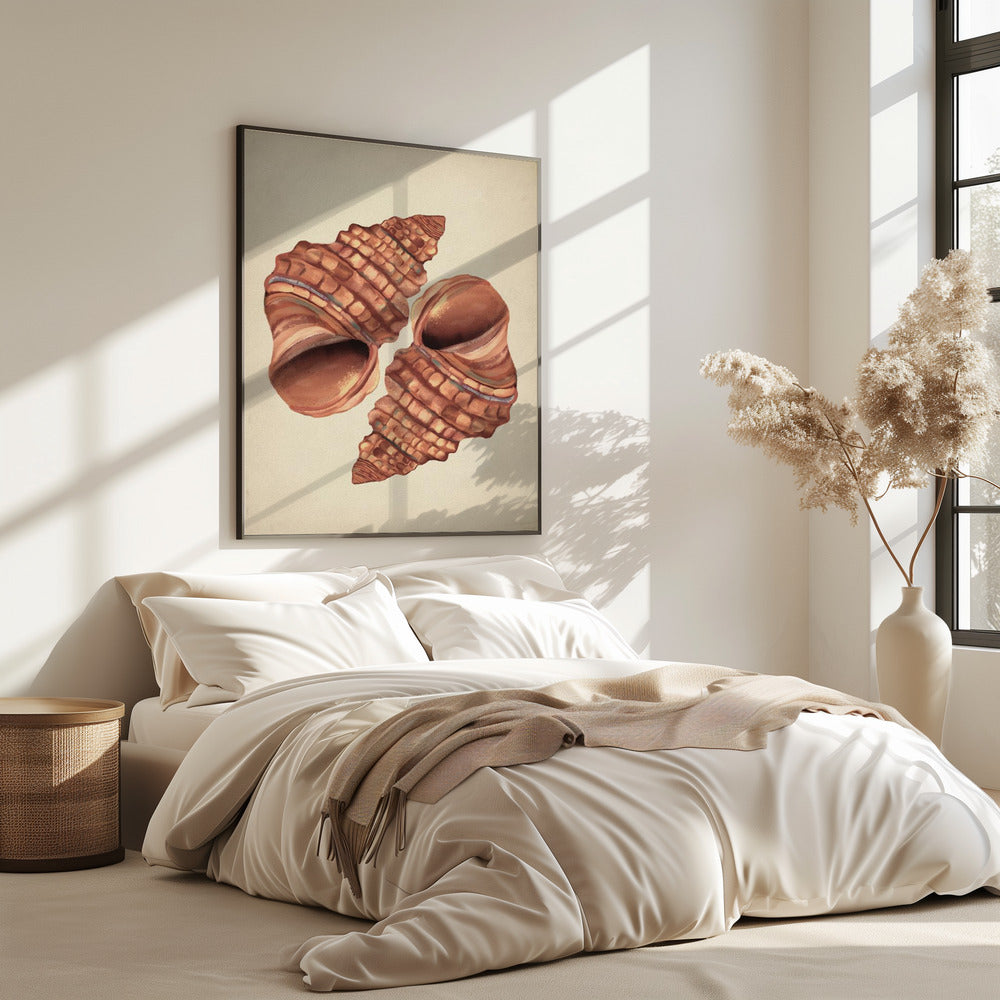 Muschel Vintage | Poster