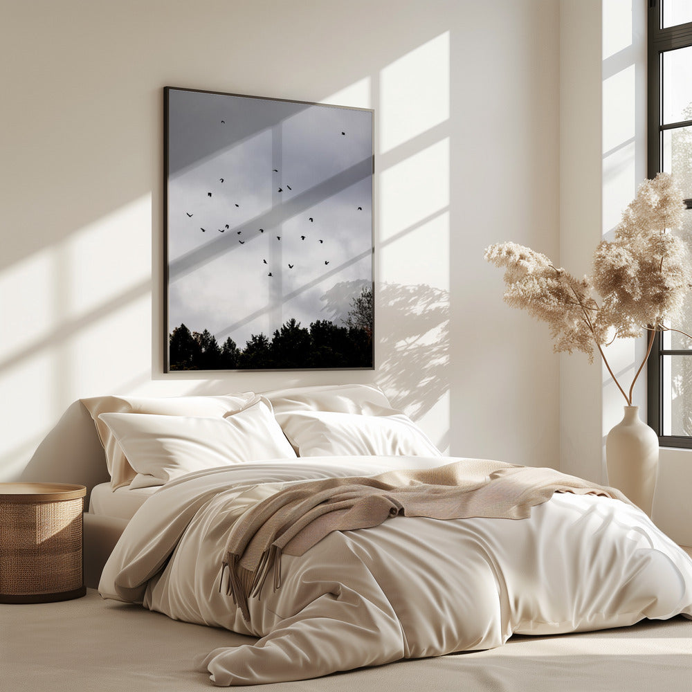 Vögel und Wolken 1 | Poster