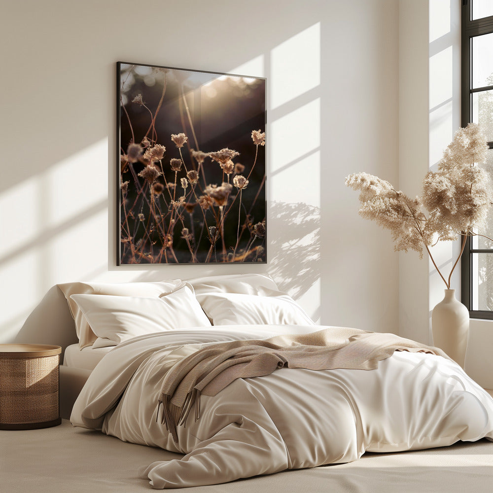 Warmes Winterlicht 2 | Poster