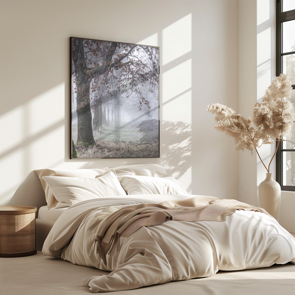 Nebliger Wintermorgen 3 | Poster