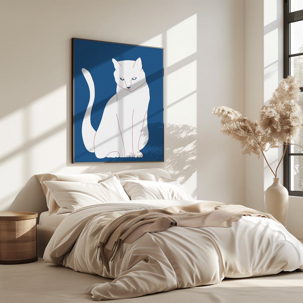 Weiße und blaue Katze | Poster
