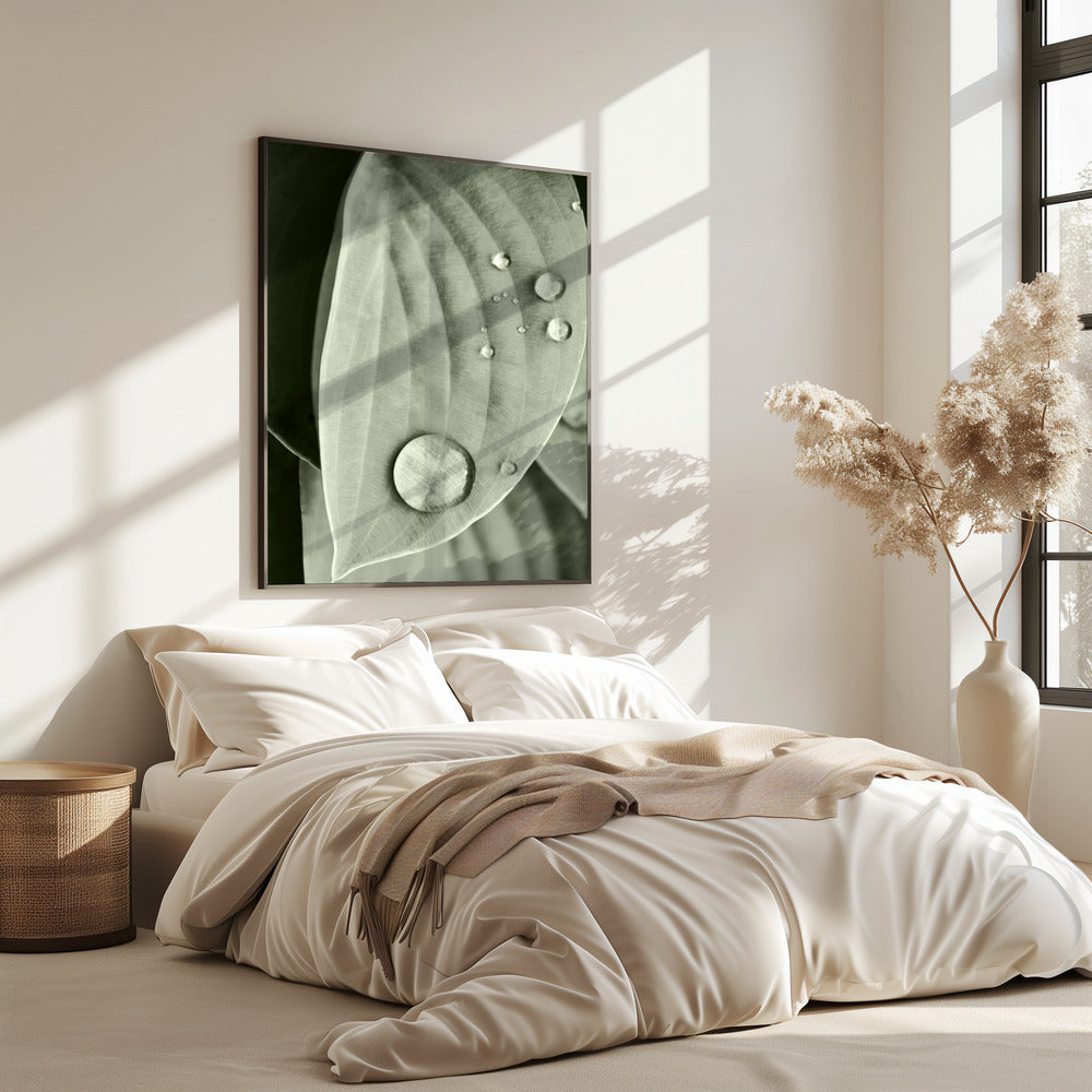 Tau auf Blatt Eleganz | Poster