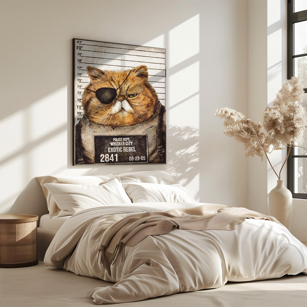 Lustige Katze | Poster
