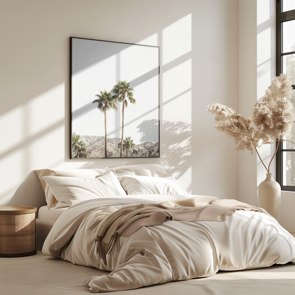 Palm Springs Palmen | Poster