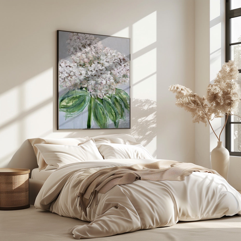 Weiße Hortensienblüte | Poster