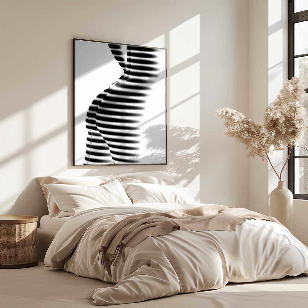 Zebra | Poster
