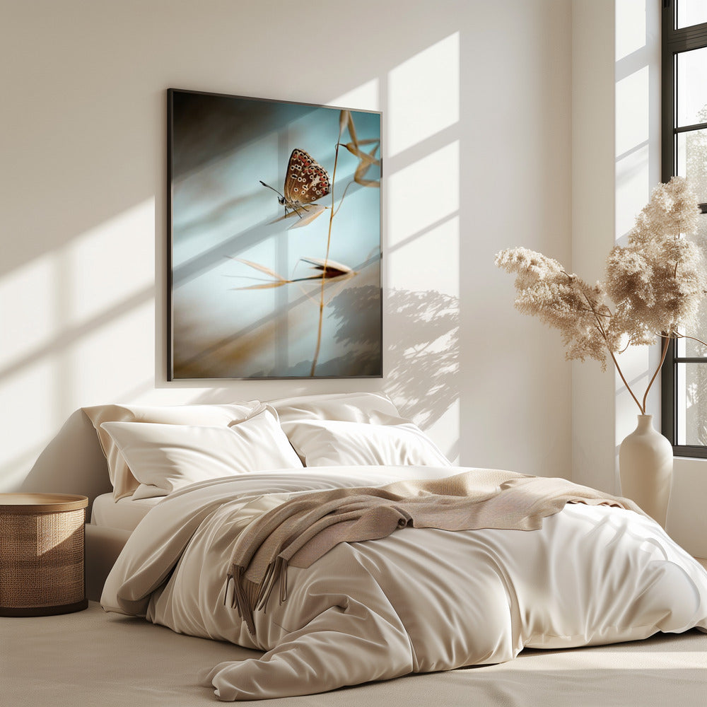 Traum in Blau | Poster