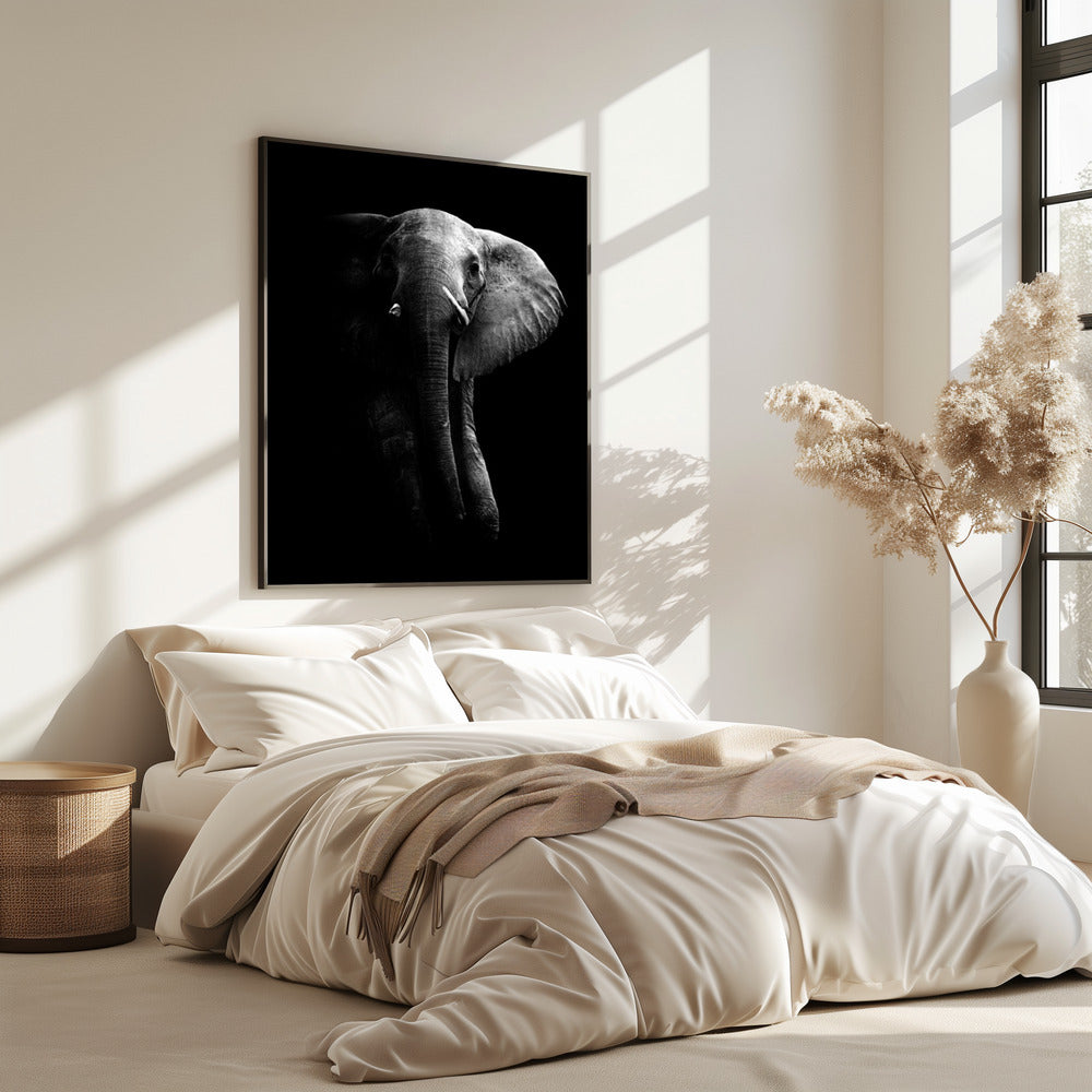 Elefant! | Poster