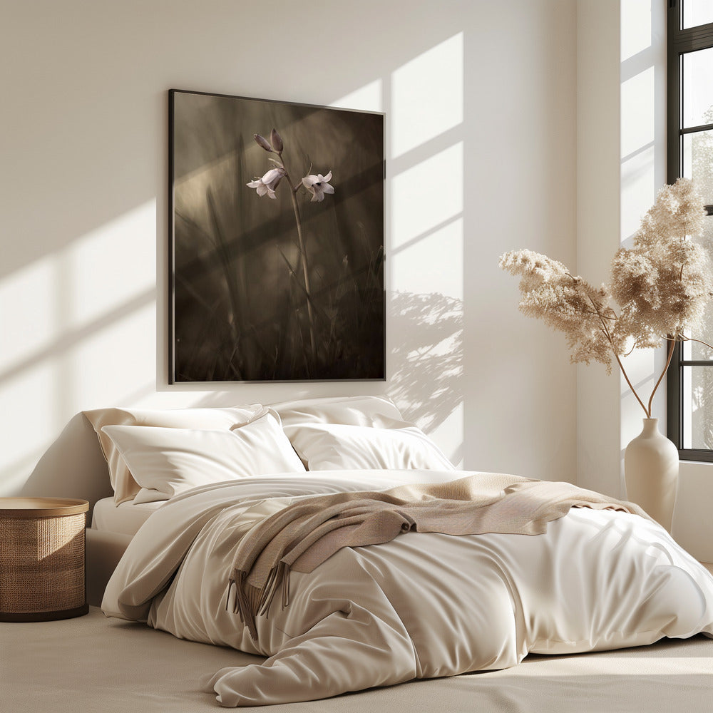 Eine kleine Blume auf dem Boden | Poster