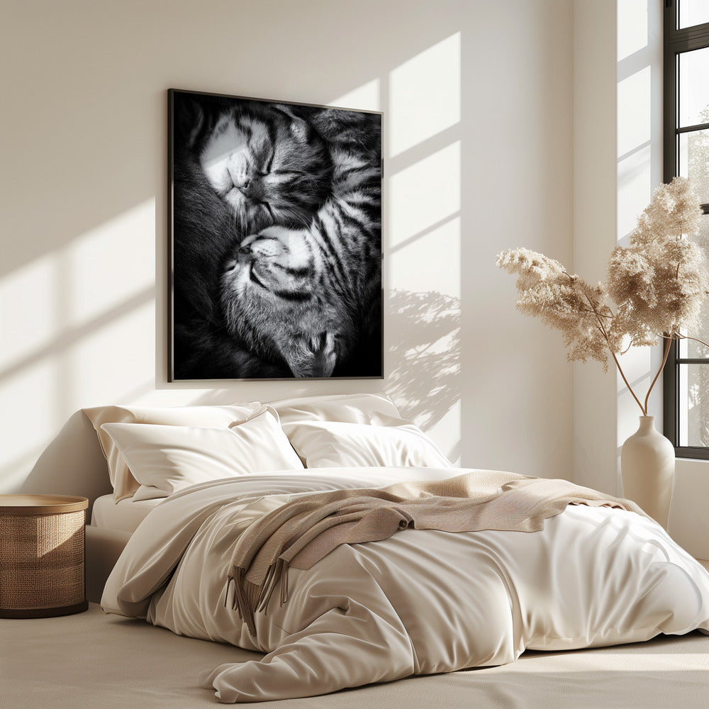 Yin und Yang | Poster