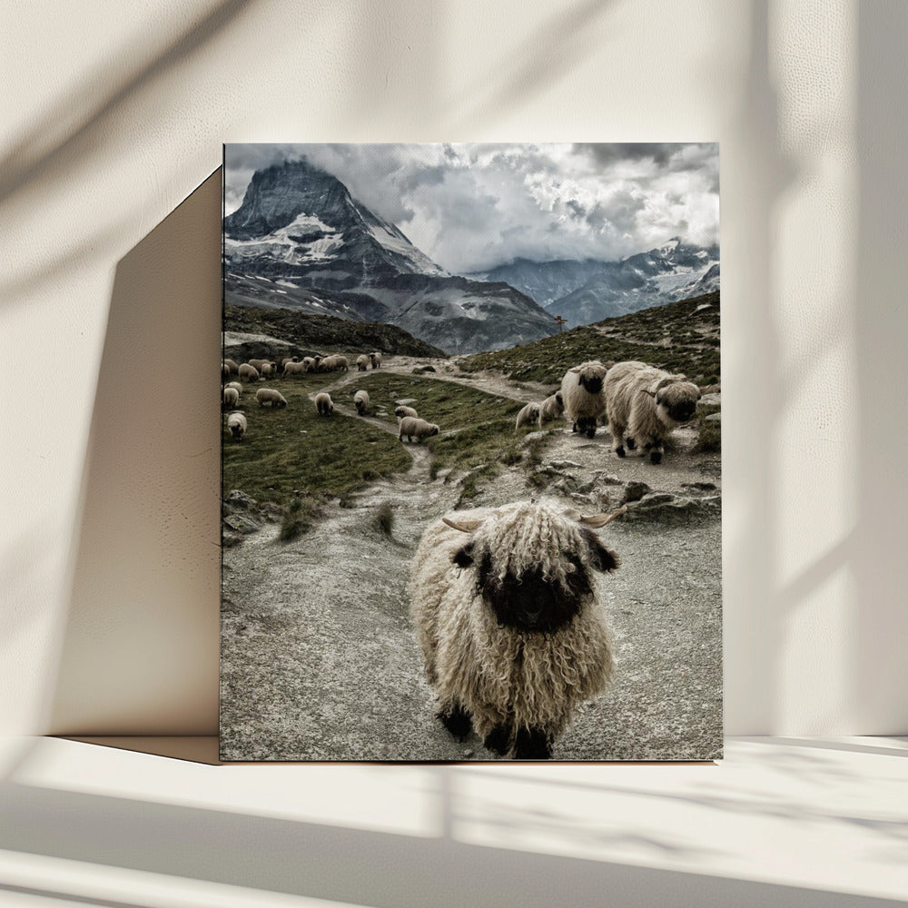 Aus dem Weg | Leinwand