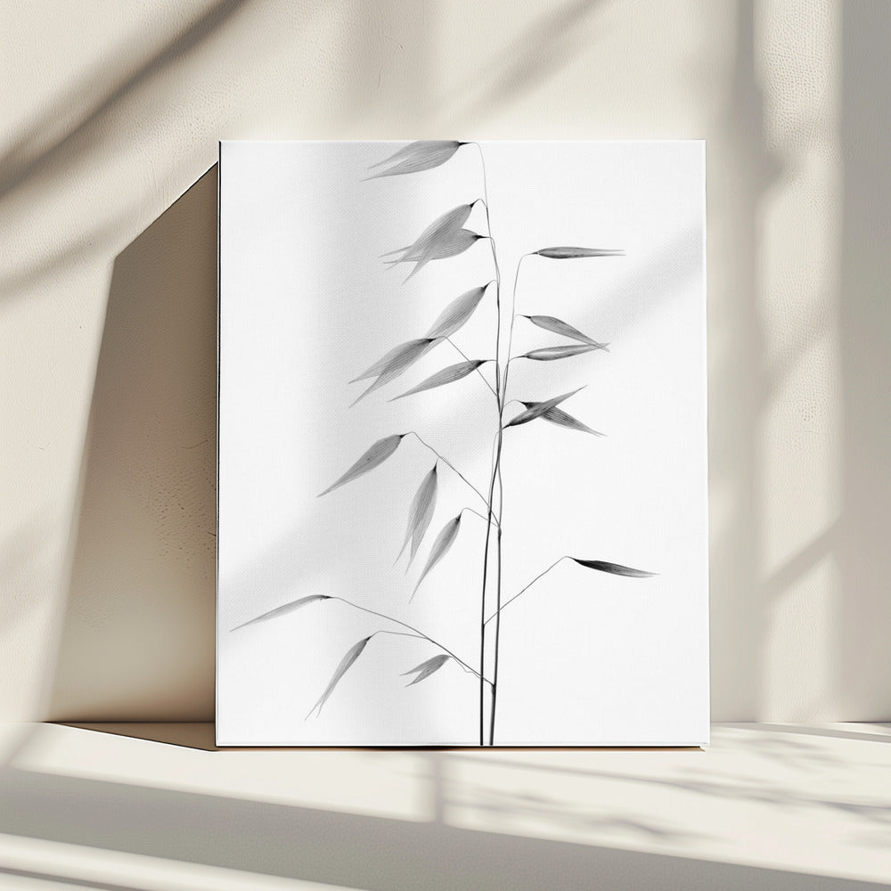 Schärfe der Natur | Leinwand
