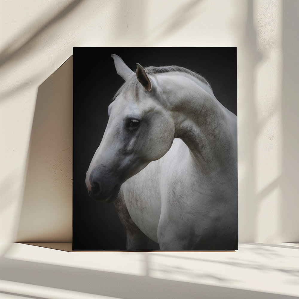 Maggie | Canvas
