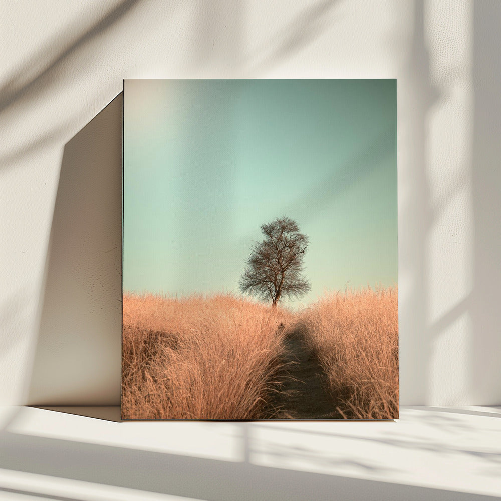 Gras und Weg | Leinwand