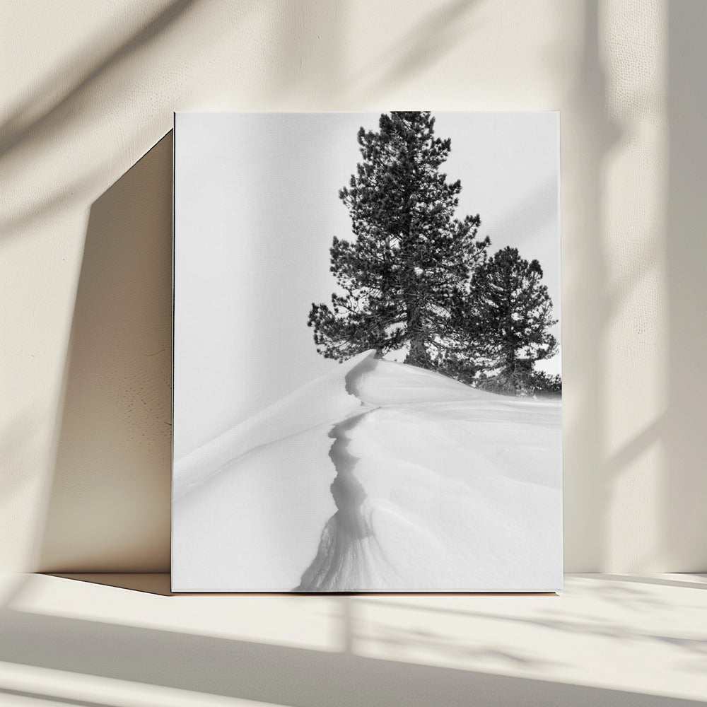 Über Schnee und Formen | Leinwand