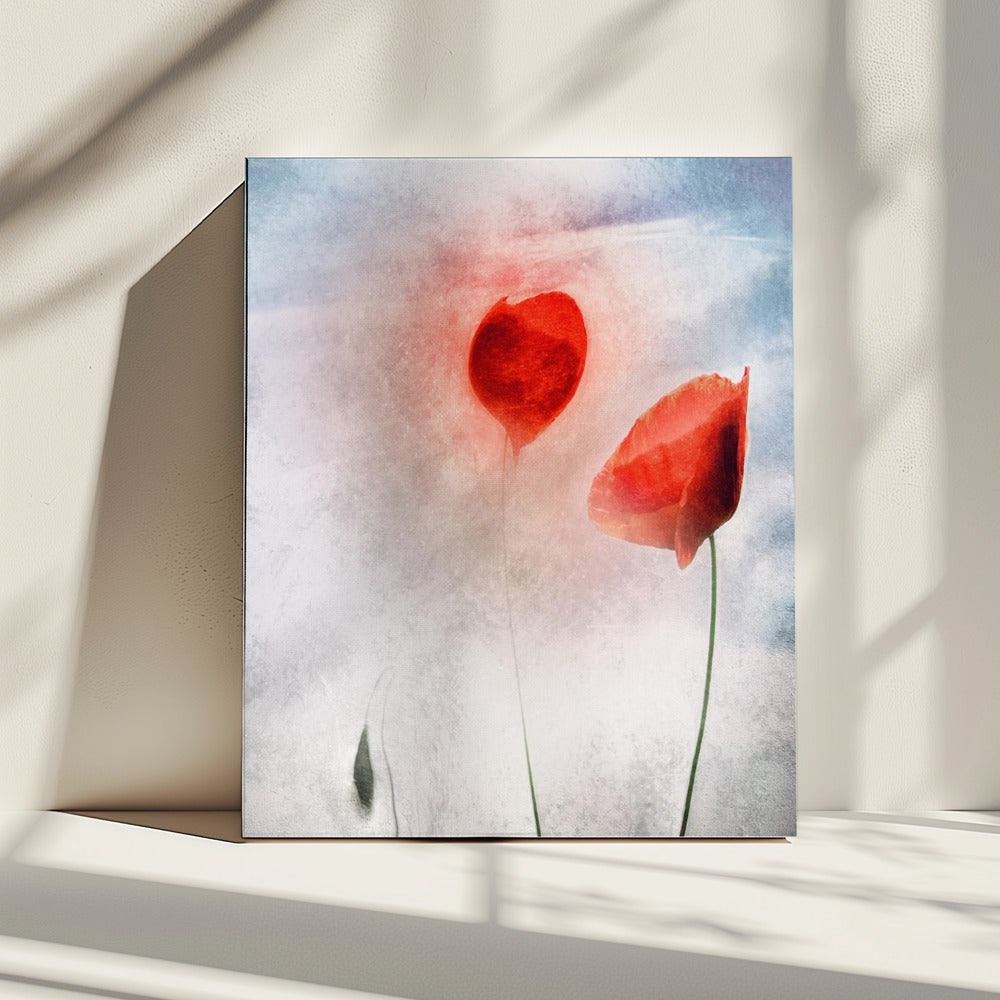 In Flanderns Feldern | Leinwand