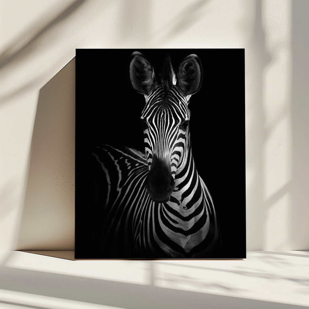 Das Zebra | Leinwand