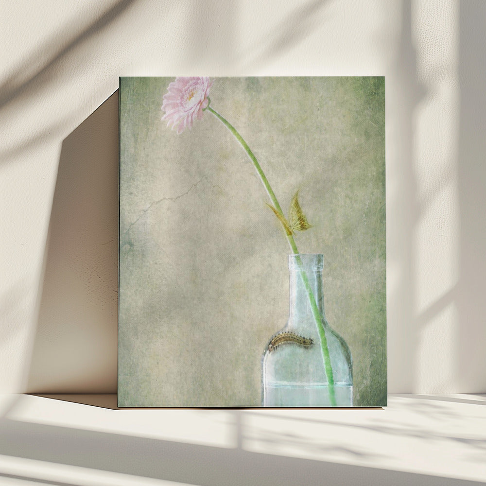 A Quiet Summer Day | Canvas