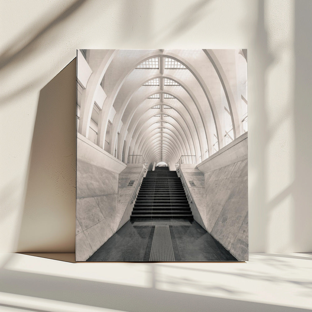Inside Calatrava | Leinwand