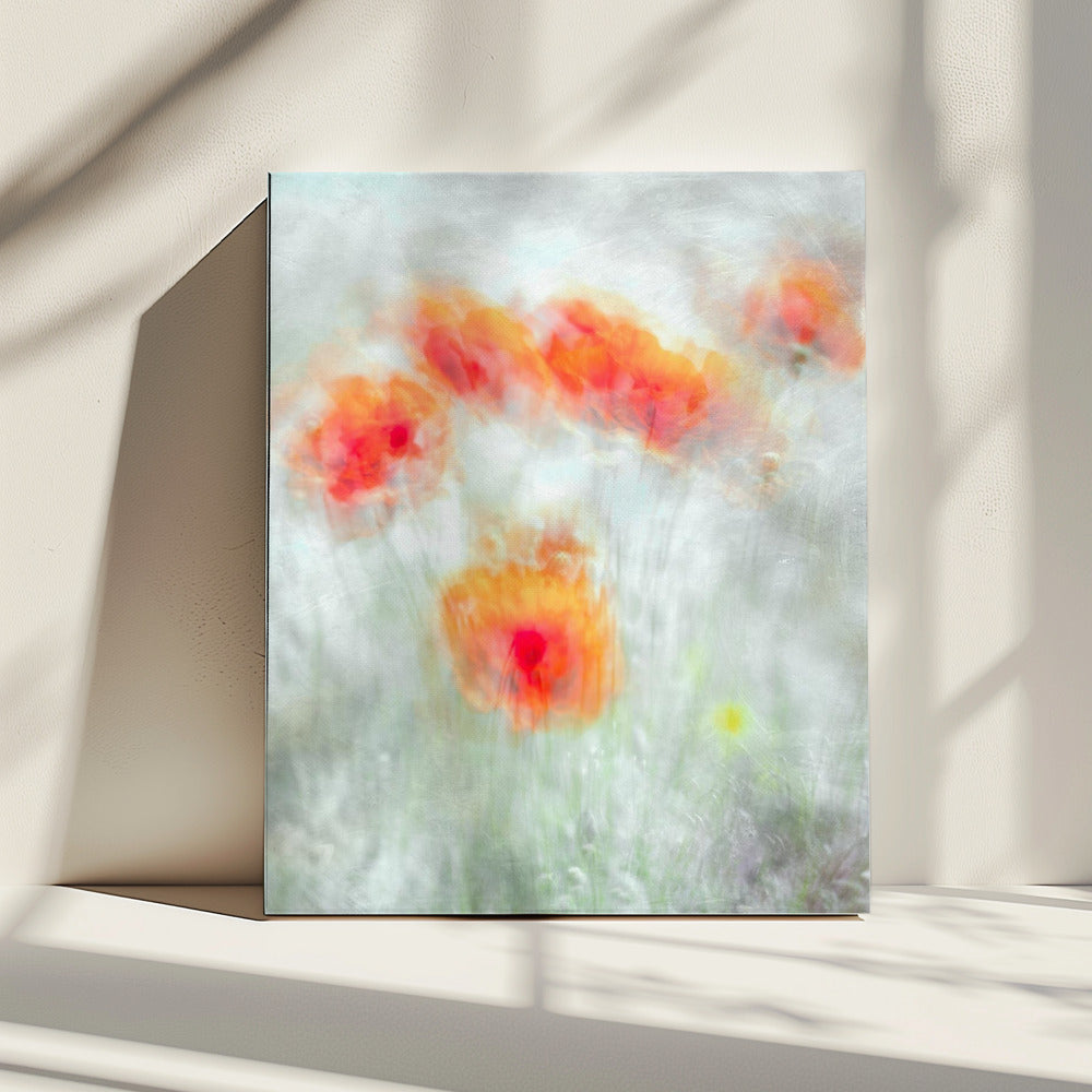 Rote Kornblumen | Leinwand